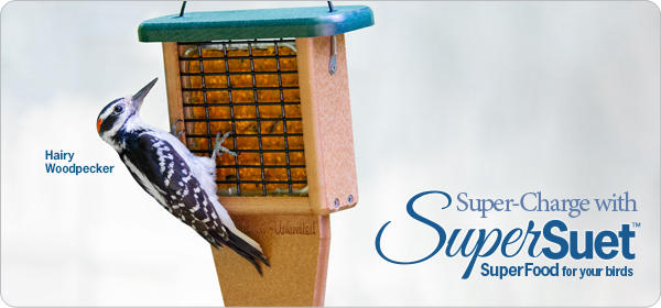 Super-Charge with SuperSuet